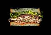 Scanwiches