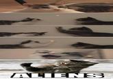 Ancient Aliens