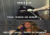 Yes, This is Dog