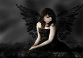 Boxxy