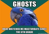 Paranoid Parrot