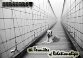Make Your Own Album Cover