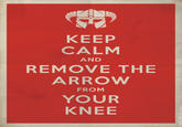 I Took an Arrow in the Knee