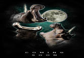 Three Wolf Moon