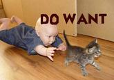 Do Want / Do Not Want