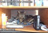 Well, There's Your Problem