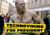 Technoviking