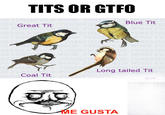 Tits or GTFO