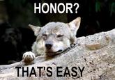 Ignorant to Adversity wolf