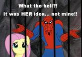 My Little Pony: Friendship is Magic