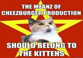 Lenin Cat