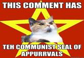 Lenin Cat