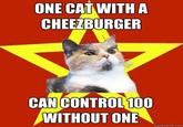 Lenin Cat