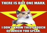 Lenin Cat