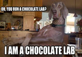 Condescending Wonka / Creepy Wonka