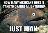 Bad Joke Eel