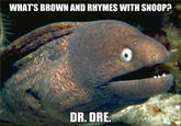 Bad Joke Eel