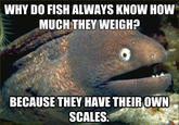 Bad Joke Eel