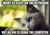 First World Problems