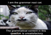 LOLcats
