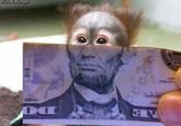 Moneyface