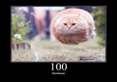 HTTP Status Cats