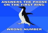 Socially Awkward Penguin