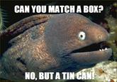 Bad Joke Eel