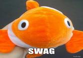 Swag