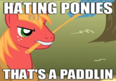 That's a Paddlin'