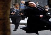 Strutting Leo / Leo Strut