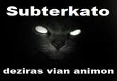 LOLcats