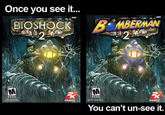 What Has Been Seen Cannot Be Unseen