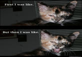 At First I Was Like...