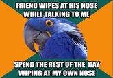 Paranoid Parrot