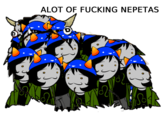 The Alot