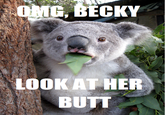 Advice Animals