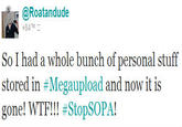 Operation Megaupload
