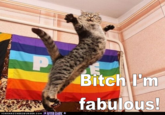 Bitch I'm Fabulous