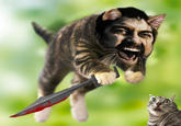 This Is Sparta!