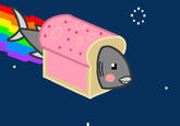 Nyan Cat / Pop Tart Cat
