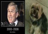 My Faggot Dog