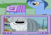Secret Butt Fun