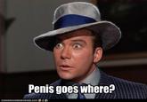 Penis Goes Where/Cock goes where