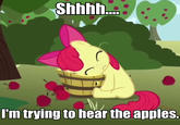 My Little Pony: Friendship is Magic