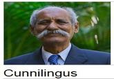 Wikipedia Donation Banner Captions
