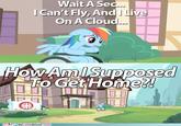 My Little Pony: Friendship is Magic