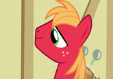 Big Macintosh