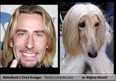 Nickelback