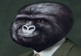 That Really Rustled My Jimmies